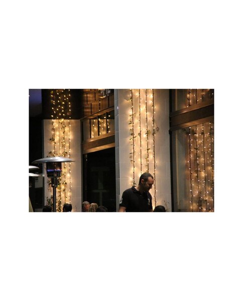 Firefly Fairy Lights 24V LED Straight String Commercial | SHOWTECHNIX